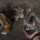 Replacing the u-joints at a farm in South Africa
